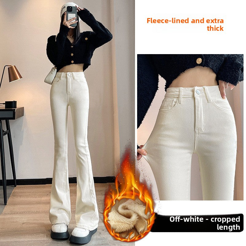 Flared jeans Colouronova