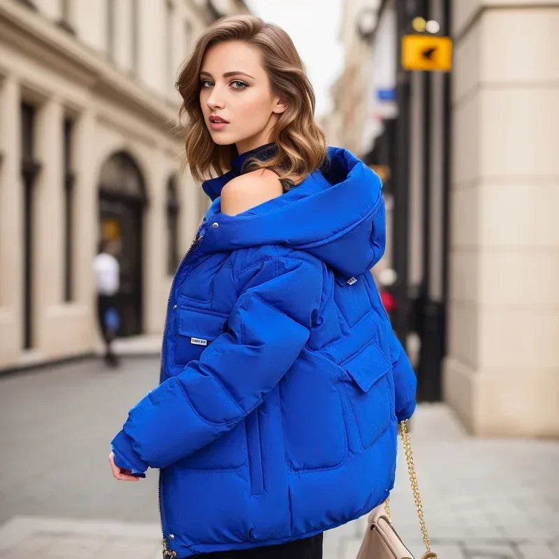 Women Full Sleeve Hooded Zipper Parkas Stand Collar Loose Drawstring Jackets Thick Warm Pockets Casual Coats Autumn Winter - Colouronova
