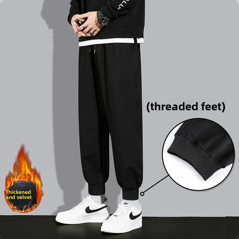 Sweatpants Colouronova