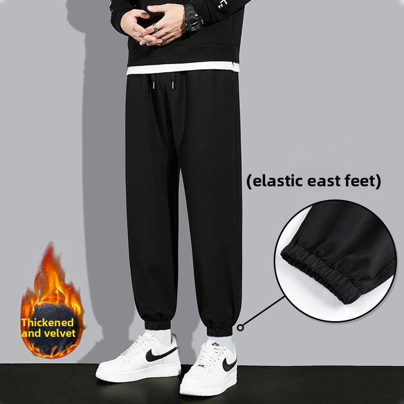 Sweatpants Colouronova