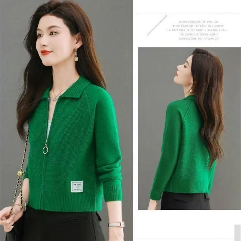 Spring Autumn Women Knitted Cardigan Sweater Fashion Lapel Jacket Small Fragrance Style Knitted Short Zipper Coat Top - Colouronova