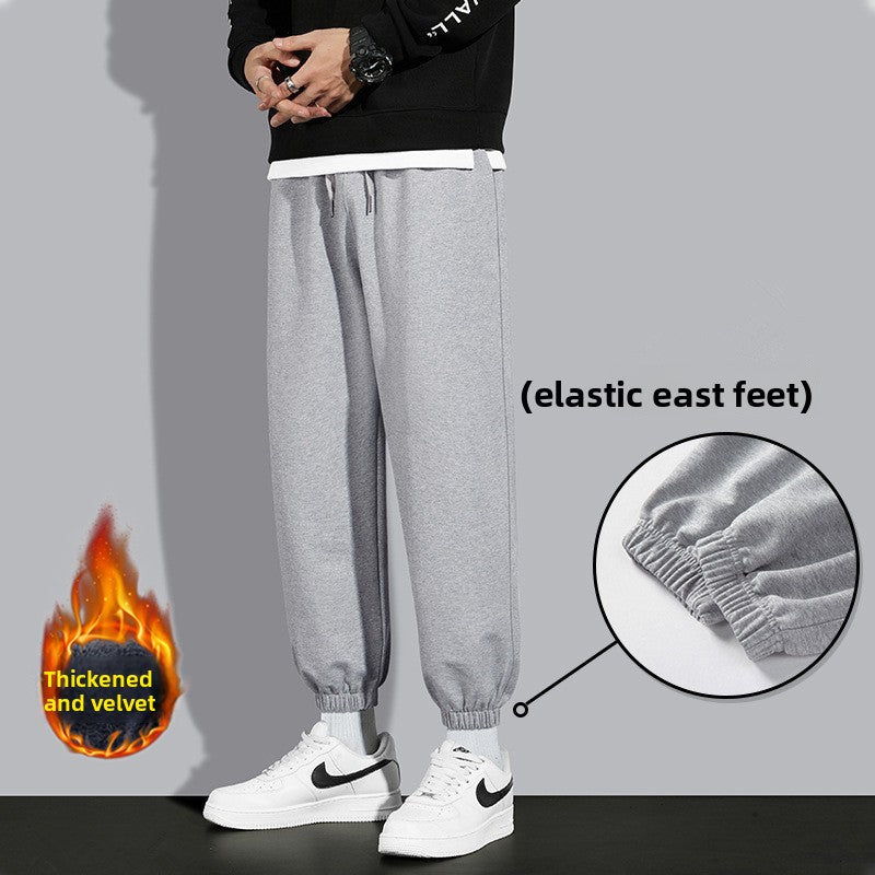 Sweatpants Colouronova