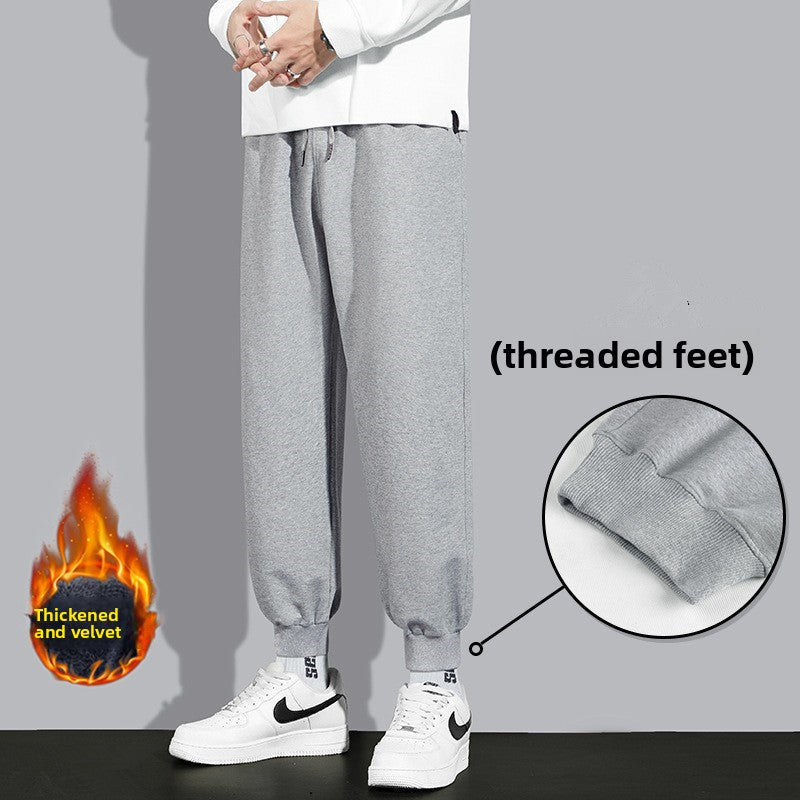 Sweatpants Colouronova