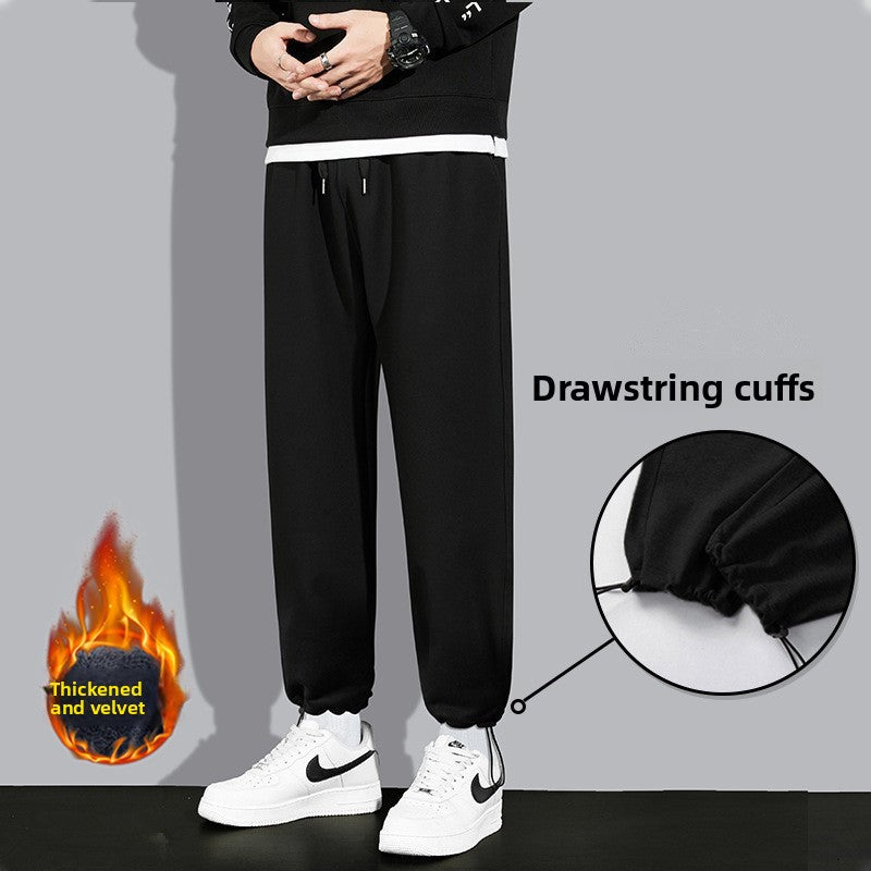 Sweatpants Colouronova